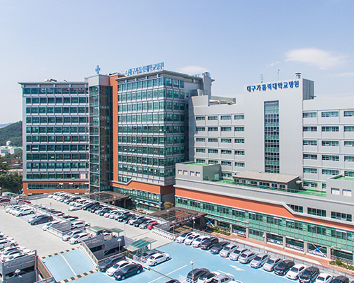 [대구일보] 대구경북 최초이자 유일한 ‘폐이식 병원’…2022년 첫 수술 후, 올해까지 2차례 성공 이미지